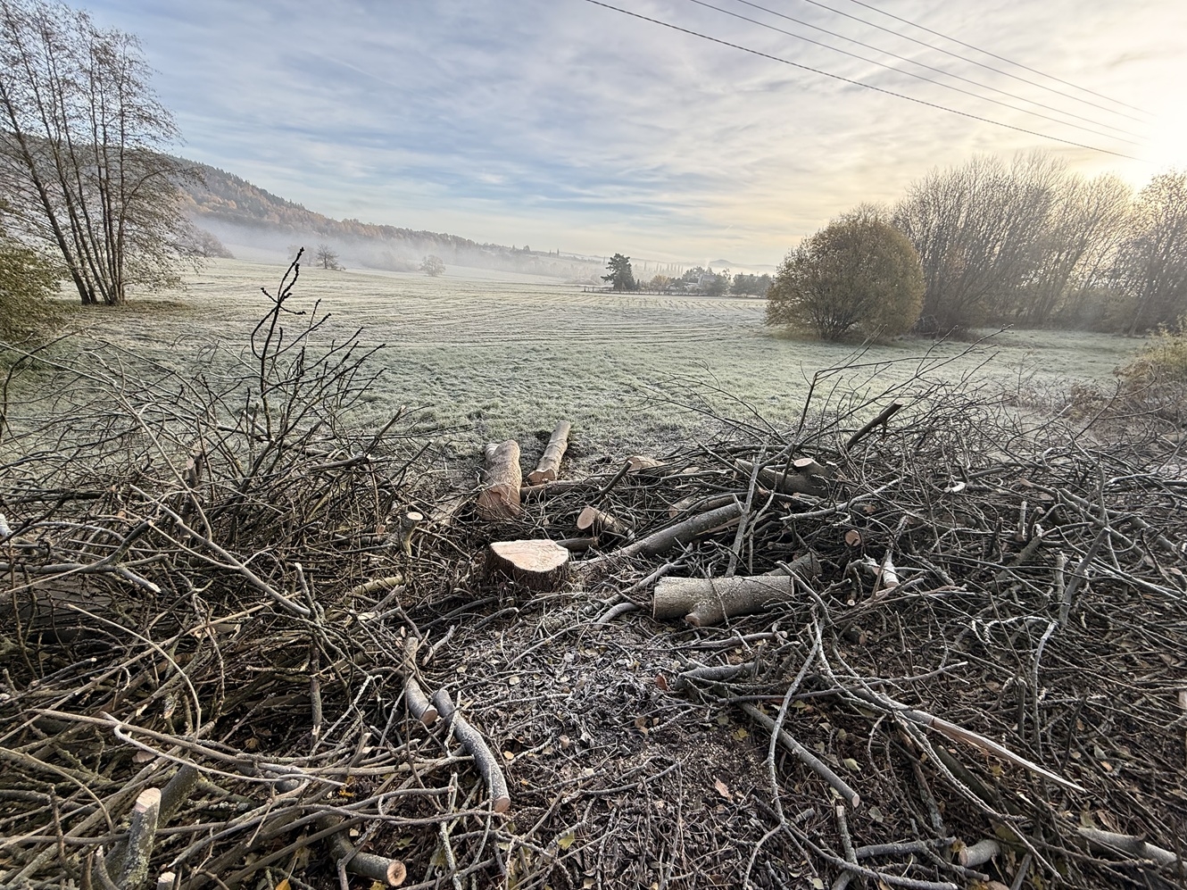 Kácení na Letné - Říjen 2025